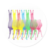 six lamas in six llama colours