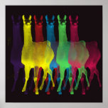 six llamas in six colours poster