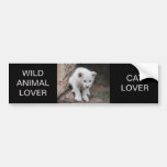 Six week old white baby lion cub bumper sticker