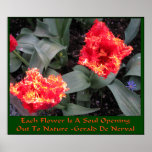 Skagit Valley Tulip Festival posters