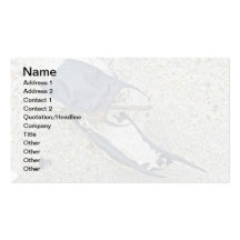 Skate Egg Cases on the Beach Business Card Template