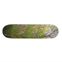 Skate in Nature Skateboards