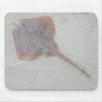 Skate Mousepad