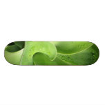 skateboard > agave [green]