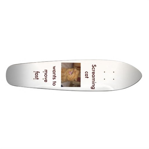skateboard bug
