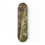 Skateboard Crocodile