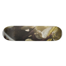 Skateboard Decks