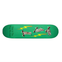 skateboard_final 6_edited-1