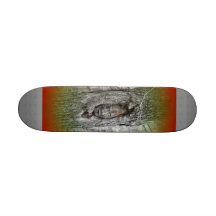 Skateboard with Forest Gnome