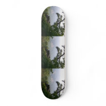 Skateboards made with photography 2