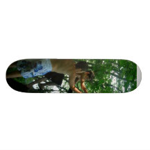skatepark de joeys planches à roulettes customisées