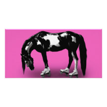 Skater Horse Photo Card