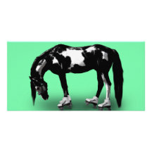 Skater Horse Photo Cards