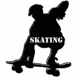 Skater in schwarz photo sculptures