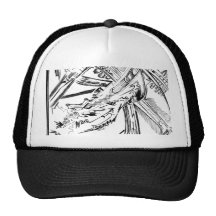 skater skull mesh hat
