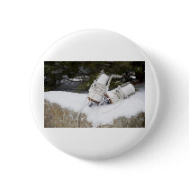 skatessnow pins
