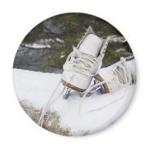 skatessnow magnet