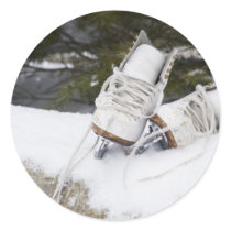 skatessnow round sticker