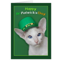 Skeezix - jour de St Patrick Carte De Vœux