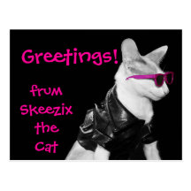Skeezix la carte postale de chat