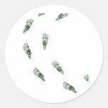 Skeletal foot prints - green stickers