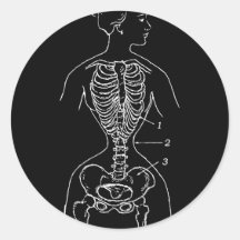 Skeleton and Corset Sticker