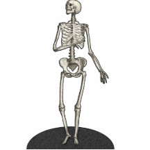 Skeleton Cutout Photosculpture 5x7 Cut Out