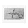Skeleton of Ichthyosaurus art postcard