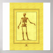 Skeleton Print
