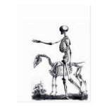 Skeleton skull Halloween Day of the Dead print Post Card