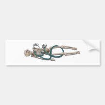 SkeletonAndStethoscope111311 Bumper Stickers