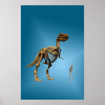 Skeletons poster