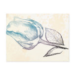 Sketch of a rose, postcard