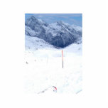Ski In The Alp Photo Sculpture