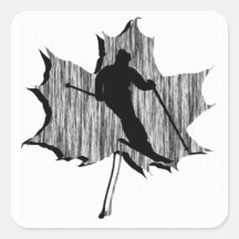 SKI MOUNTAIN REFLECTION STICKERS