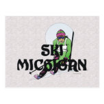 Ski SUPÉRIEUR Michigan Cartes Postales