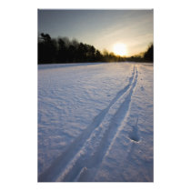 Ski tracks at the Willowbrook Farm Preserve in