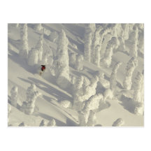 Skieur alpin dans les snowghosts épais à grand carte postale
