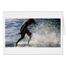 skim sun cards