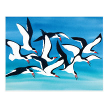 Skimming the Surface Post Cards