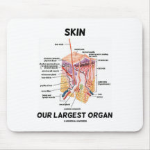 Skin Our Largest Organ (Dermal Layers) Mouse Pad