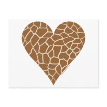 Skin Pattern, Colours of the Giraffe