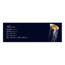Skinny Card - Drifting Lace Business Card