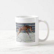 Skip Away Colt Mugs