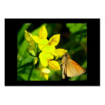 Skipper on Wildflowers ATC Business Cards