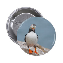 Skomer Island Puffins Button