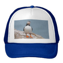 Skomer Island Puffins Mesh Hat