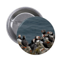 Skomer Island Puffins Pins