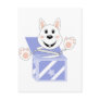 Skrunchkin Rabbit Cotton In Blue Box