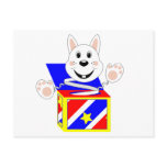 Skrunchkin Rabbit Cotton In Colourful Box